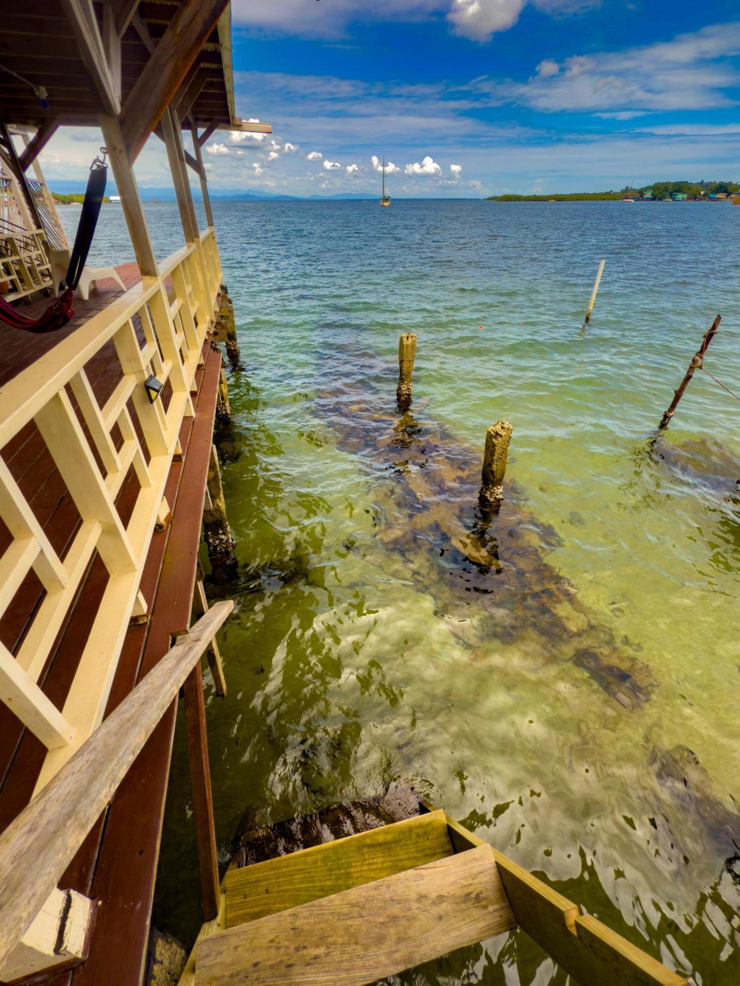 Saigon Bay Bed & Breakfast Bocas Town Room photo